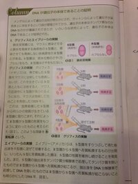 生物基礎 第２章 遺伝子とその働き 遺伝子とは何か 高校生物をまとめてみる