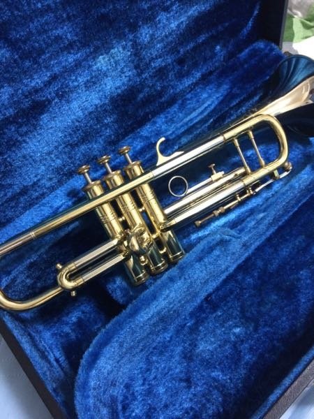 Huttlと言う楽器メーカーに詳しい方に質問です、ひょんなことから