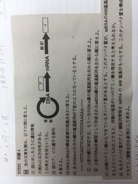 かっこいい漢字を教えてください 一文字で生き物 一文字で生き物を表す漢字 Yahoo 知恵袋