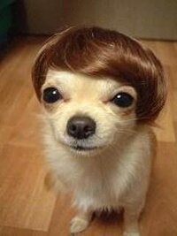 おはようございます 最近のプロ野球選手は髪型がお洒落な選手が Yahoo 知恵袋