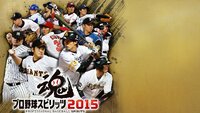 プロ野球スピリッツ15のマネジメントモードの序盤の攻略方法を教えてくださ Yahoo 知恵袋