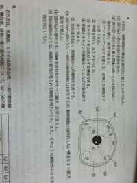 生物基礎の問題 酢酸オルセインや酢酸カーミンなどの染色液で Yahoo 知恵袋