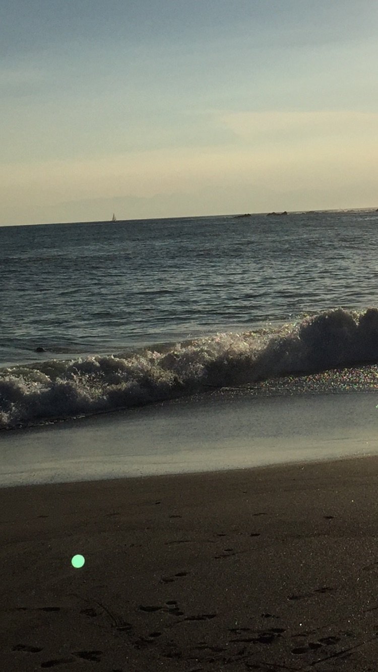 海で撮れた写真なのですが写真の左下に緑色の点が見えます。俗に言う 