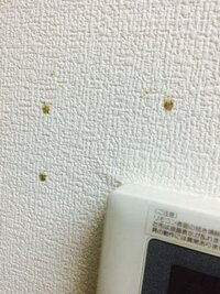 家の壁に茶色いシミが突然現れました 一つは階段の壁 三つの筋が並んででまし Yahoo 知恵袋