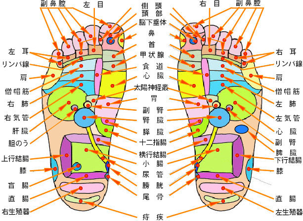 足つぼマッサージ機を使用してていつも思うのですが 足にあるツボを図解した Yahoo 知恵袋