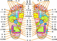 足つぼマッサージ機を使用してていつも思うのですが 足にあるツボを図解した Yahoo 知恵袋