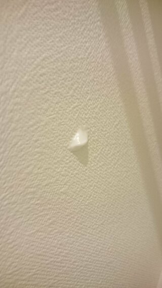 洗面所の壁にこのような白い膜ができていました これは何かの卵でしょうか Yahoo 知恵袋
