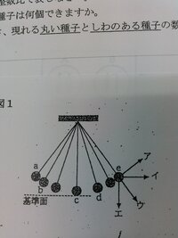 中学生理科 物理分野のふりこの問題を教えて下さい 図はふりこの運動の様子 Yahoo 知恵袋