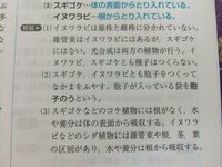 シダ植物がコケ植物よりも乾燥に強い理由が 根 茎 葉の区別があり 維管束 Yahoo 知恵袋