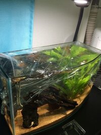 熱帯魚水槽の蓋の隙間は塞いでも良いでしょうか 塞ぐ場合はラッ Yahoo 知恵袋