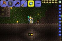 Psvitaのテラリアでクロロファイト鉱石の栽培の仕方を教えてくだ Yahoo 知恵袋