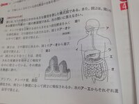 中学2年理科消化について質問です 先程学研のチャート式問題集をやっていた Yahoo 知恵袋