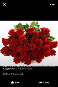 モンゴル語がわかる方に翻訳をお願いします 写真の下に書かれている Yahoo 知恵袋