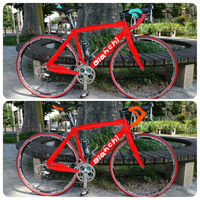 ビアンキロードバイク 車体のカラーリングに迷っています 写 Yahoo 知恵袋