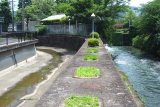 琵琶湖疏水が流れる夷川ダムから鴨川に向かって放水路が二本あります 上り下 Yahoo 知恵袋