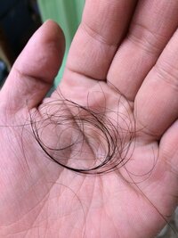 一回のシャンプーとリンスで抜ける量 僕は30歳の男性です 最近 抜け毛を Yahoo 知恵袋