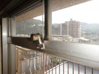 採風小窓 サッシの上にある横長の小窓ですが これが開きません 少し蒸し暑いの Yahoo 知恵袋