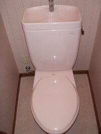 トイレスタンプクリーナーについて質問なのですが すぐに減って Yahoo 知恵袋