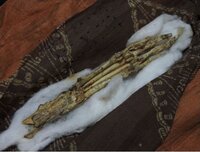 かっぱ 河童 の正体はなんですか 旅行で佐賀県伊万里にある松浦一酒造というと Yahoo 知恵袋