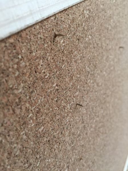コルクボードに画鋲等を使わずに掲示物を貼りたいです。特別養護老 