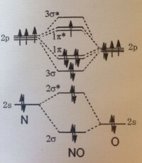 一酸化窒素分子 写真 における窒素 酸素結合の結合次数を求めよ 生物無機 Yahoo 知恵袋