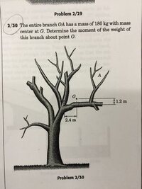 問題文が英語の物理の問題です 枝oaの全体の質量は180 Yahoo 知恵袋