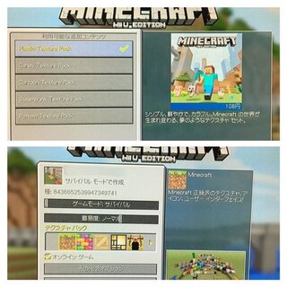 Wiiuのマインクラフトで テクスチャパックを購入したのですが どうやっ Yahoo 知恵袋