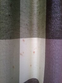 カーテンに謎のシミが発生してしまいました 何でしょうか どうしたらとれるでしょう 教えて 住まいの先生 Yahoo 不動産