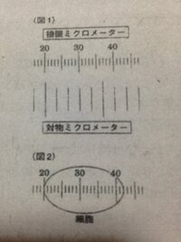 生物基礎について教えて下さい 出来れば解説がありますと助かりま Yahoo 知恵袋
