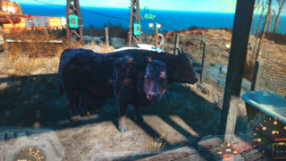 Fallout4拠点に住み着くバラモンの増やし方を教えてくださ Yahoo 知恵袋