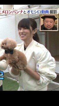 深田恭子さんの愛犬の名前は メロンパンナでしたか メロンパン Yahoo 知恵袋