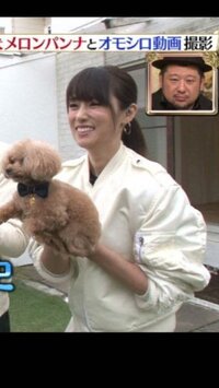 専業主婦探偵のドラマで誘拐されたロミーちゃんて犬って深キョンの飼って Yahoo 知恵袋