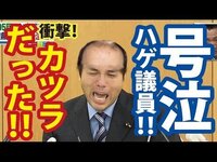 野々村竜太郎議員が使っているカツラはどこの会社のでしょうか あん Yahoo 知恵袋