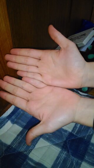 手が小さく指が短い人におすすめのギターを教えてください 高2女です バイ Yahoo 知恵袋