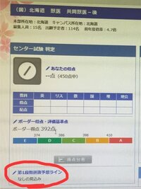 16年度の北大獣医 後期 は6倍の倍率を超えると二段階選抜が実施され Yahoo 知恵袋