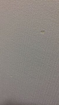 賃貸アパートの壁紙が剥がれてしまった場合 退去時はどのくらいお金がかかるのでし Yahoo 知恵袋