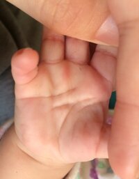 娘の手相です いくら調べてもわかりません 生命線と頭脳線が手の Yahoo 知恵袋