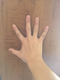 友達に 指太い と言われて気にしてます 写真の手の指 太いです Yahoo 知恵袋
