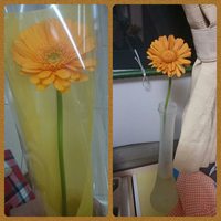 切り花は 花瓶に挿しておいて 何週間くらいもつものですか たまに窓際に置いて Yahoo 知恵袋