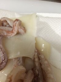 日曜夜に冷凍イカを解凍し チルド室で保存したことを忘れていました Yahoo 知恵袋