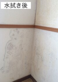 壁紙のカビ賃貸マンションの壁紙 クロス のカビを落とすにはどういう方法がい Yahoo 知恵袋