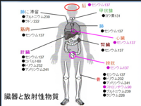 漫画天使禁猟区のルシファーは死んでしまったんですか 最終話でハッキリ Yahoo 知恵袋