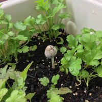 やむを得ず用事が入りますので 全国試験運営センターのバイトをキャンセ Yahoo 知恵袋