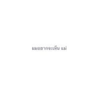 タイ語にしてください 私の彼がタイ人なんですが 私はまだタイ語を勉強中で話せ Yahoo 知恵袋