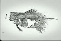 中学2年生です 金魚を描きました 絵の評価よろしくお願いします Yahoo 知恵袋