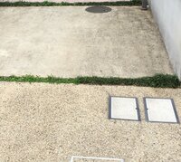 祖母の家の駐車場のスリットに 玉竜が植えてあったものが枯れ 高齢で手入れ Yahoo 知恵袋