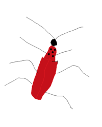 １センチ位ですけれども何と申さらられます名前の虫様ですか 赤い羽 Yahoo 知恵袋