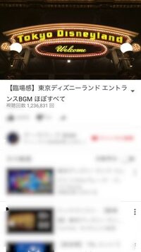 東京ディズニーランド パーク内のbgmについて どこかでcd Yahoo 知恵袋