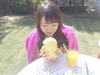 ベリカはアオコのほかにキイコもいるんですか欅坂４６べりぺーちゃんはんぺん Yahoo 知恵袋