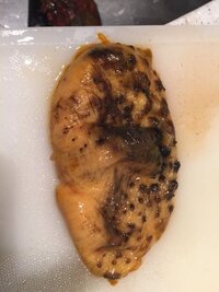 今日 ホヤを捌いてみたのですが こんな感じで気味が悪いです 食べな Yahoo 知恵袋